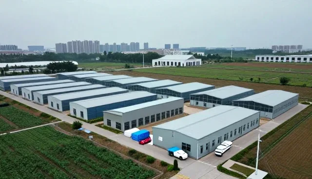 品牌代理业务中供应链管理的关键作用与发展趋势
